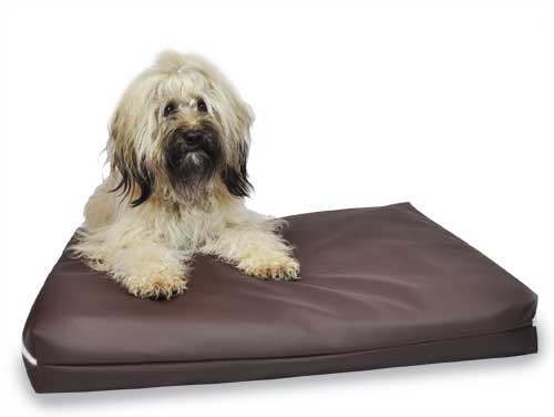 Hunde - Wasserbetten